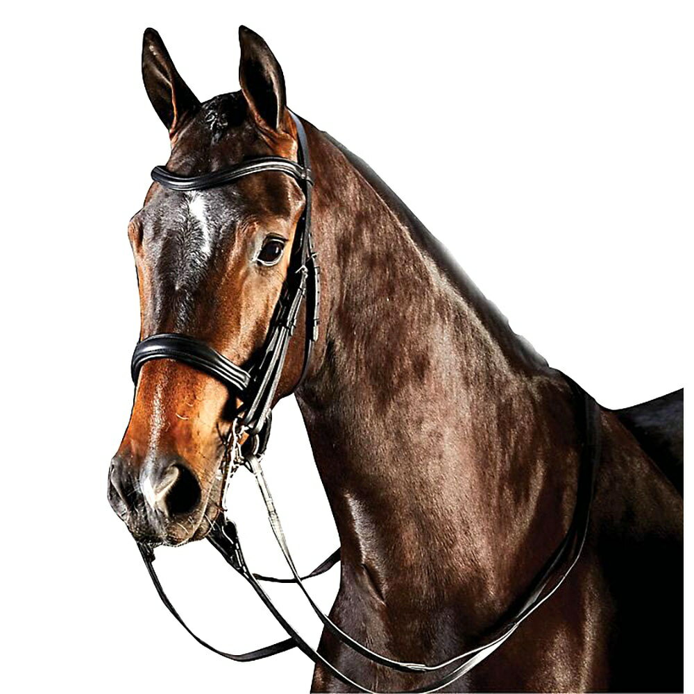 (カレッジエイト) Collegiate 馬用 Comfitec ウェイマス レザー ブライドル 頭絡 馬具 乗馬 ホースライディング 【海外通販】