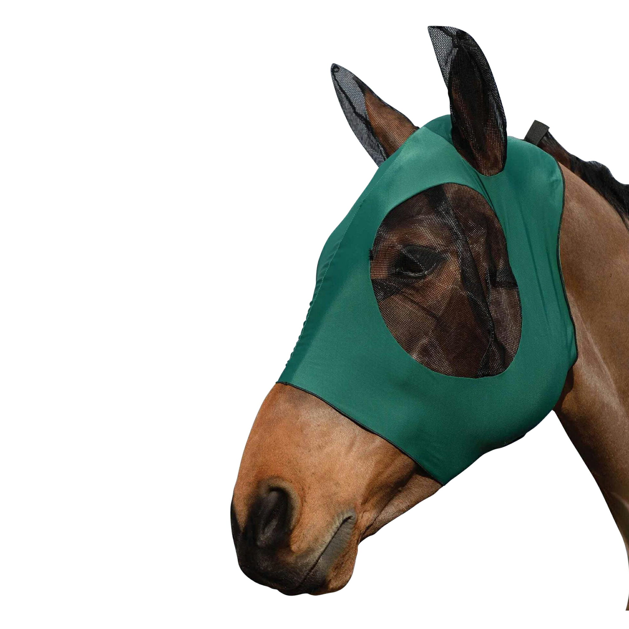 (�������ӡ���) Weatherbeeta ���� ���ȥ�å� �Х����������С� ���դ� �ե饤�ޥ��� �ϥ����� ���� �ۡ����饤�ǥ��� �ڳ������Ρ�