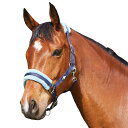 (サクソン) Saxon 馬用 エレメント フリース ヘッドカラー 頭絡 馬具 乗馬 ホースライディング 【海外通販】 その1