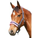 (サクソン) Saxon 馬用 エレメント フリース ヘッドカラー 頭絡 馬具 乗馬 ホースライディング 【海外通販】 2