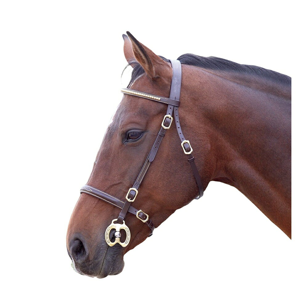 Pertemba Japanの(ブレナム) Blenheim 馬用 レザー クリンチャー インハンド ブライドル 乗馬 頭絡 馬具 ホースライディング 【海外通販】｜アングル2