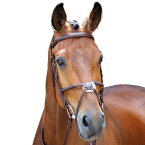 (ソールズベリー) Salisbury 馬用 ブラックリー レザー ステッチ ブライドル 乗馬 馬具 頭絡 ホースライディング 【海外通販】