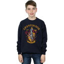 (ハリー・ポッター) Harry Potter オフィシャル商品 キッズ・子供用 グリフィンドール 長袖 スウェットシャツ トレーナー 男の子 【海外通販】