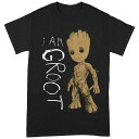 (ガーディアンズ オブ ギャラクシー リミックス) Guardians Of The Galaxy 2 オフィシャル商品 ユニセックス I Am Groot 落書き Tシャツ 半袖 【海外通販】