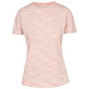 (トレスパス) Trespass レディース Elkie ストライプ DLX 半袖 Tシャツ トップス 【海外通販】
