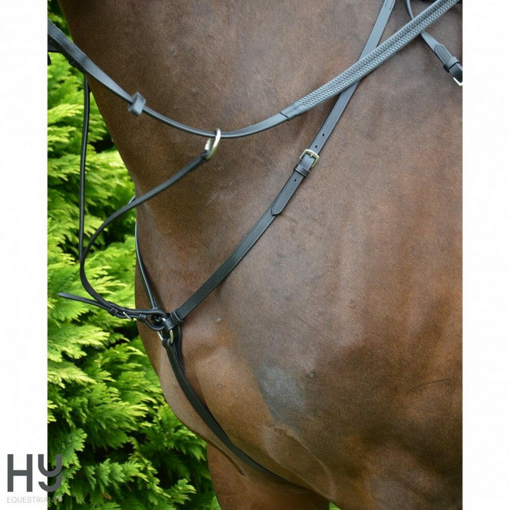 (�ϥ�) Hy ���� �ϥ�ƥ��� �֥쥹�ȥץ졼�� ������ �϶� ���� �ۡ����饤�ǥ��� �ڳ������Ρ�