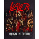 (スレイヤー) Slayer オフィシャル商品 ユニセックス Reign In Blood Tシャツ 半袖 トップス 【海外通販】