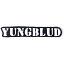 (󥰥֥å) Yungblud ե뾦  ƥ󥷥 åڥ  ѥå ڳΡ