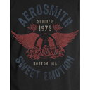(エアロスミス) Aerosmith オフィシャル商品 ユニセックス Sweet Emotion Tシャツ コットン 半袖 トップス 【海外通販】