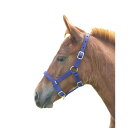 (シャイアズ) Shires 馬用 子馬 ヘッドカラー 乗馬 馬具 ホースライディング 【海外通販】