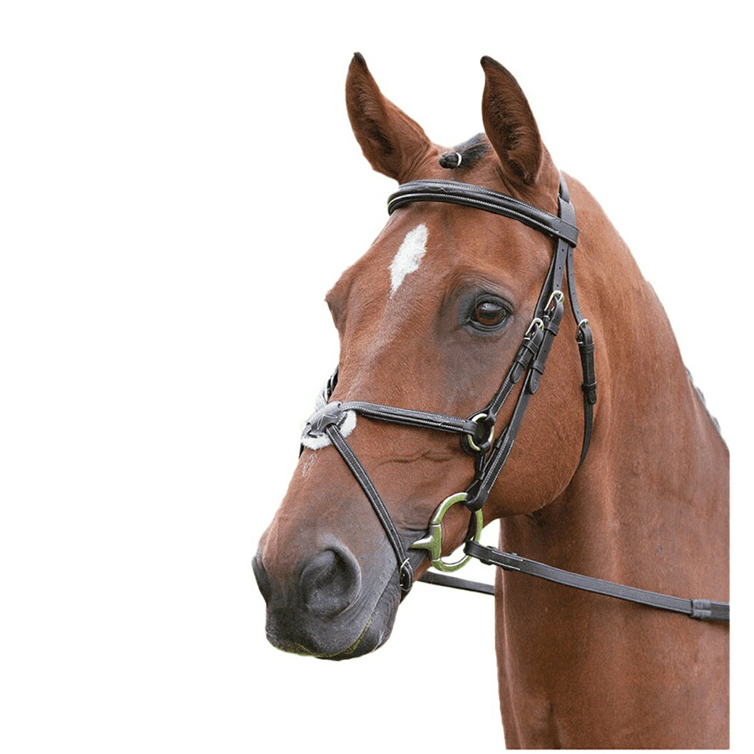 (ソールズベリー) Salisbury 馬用 Brackley レザー ブライドル 乗馬 馬具 頭絡 ホースライディング 【海外通販】