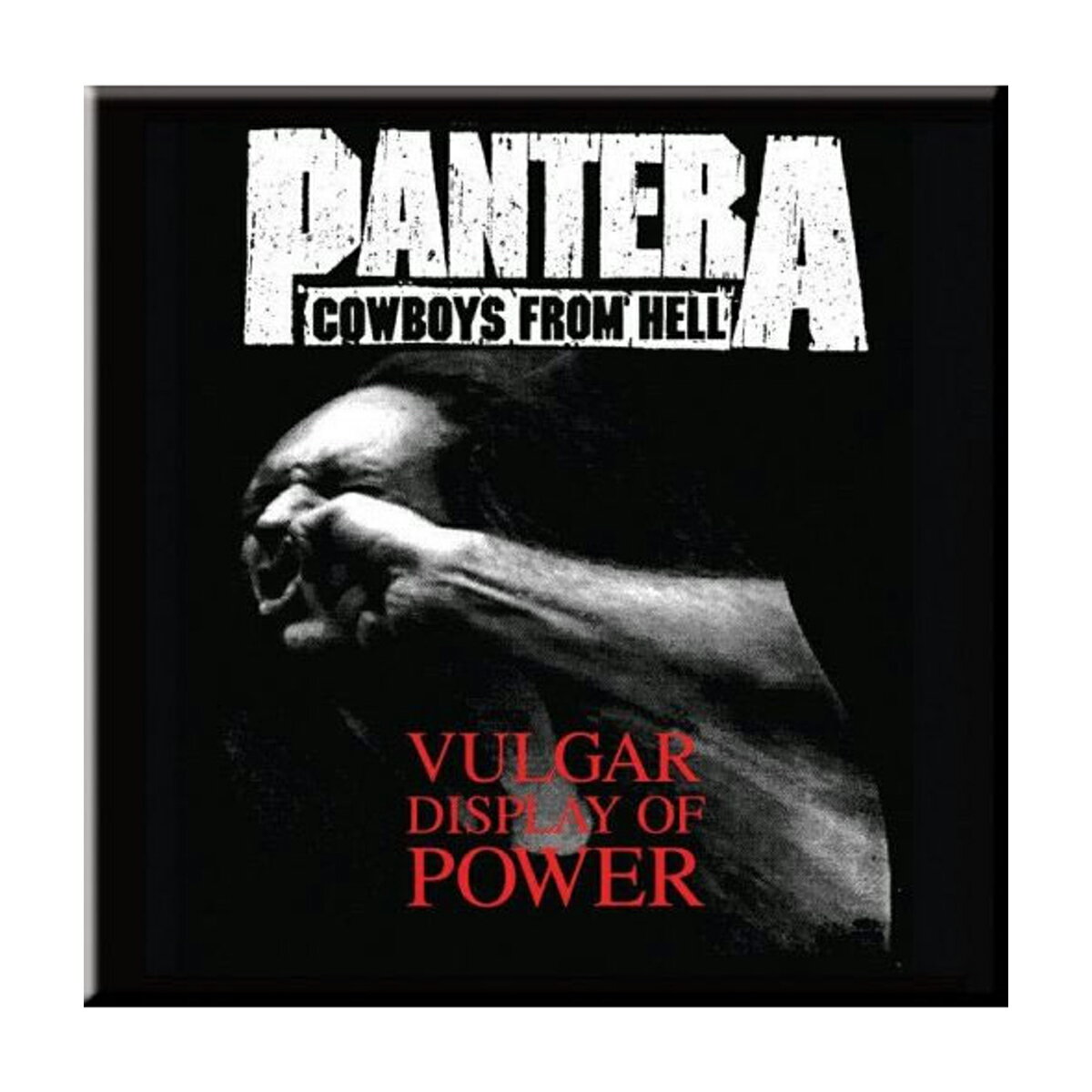 (パンテラ) Pantera オフィシャル商品 Vulgar Display Of Power フリッジマグネット 冷蔵庫 磁石 【海外通販】