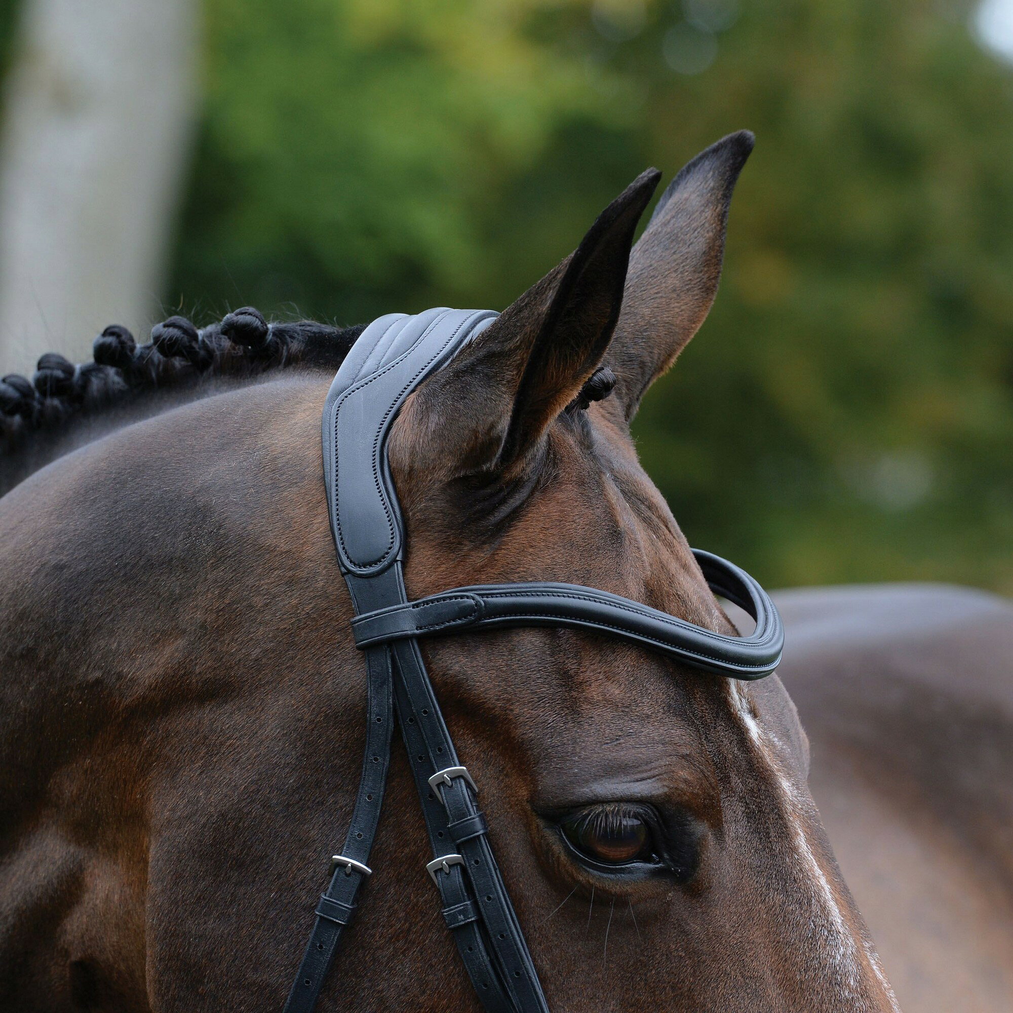 (カレッジエイト) Collegiate 馬用 Comfitec Vogue ブライドル レザー 乗馬 頭絡 ...