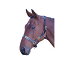 (ブレナム) Blenheim 馬用 レザー ポロ ヘッドカラー 乗馬 馬具 ホースライディング 【海外通販】