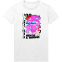 (フー ファイターズ) Foo Fighters オフィシャル商品 ユニセックス Medicine At Midnight Tilt Tシャツ 半袖 トップス 【海外通販】