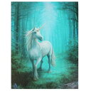 (AEXg[NX) Anne Stokes LoX Forest Unicorn EH[A[g Ŕ fR[V  yCOʔ́z