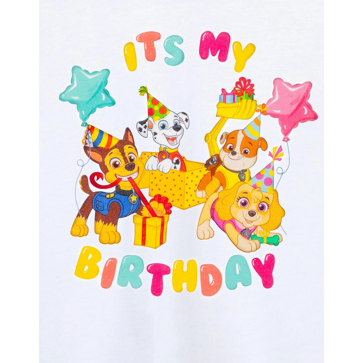 (パウ・パトロール) Paw Patrol オフィシャル商品 キッズ・子供 It's My Birthday Tシャツ 半袖 トップス 【海外通販】