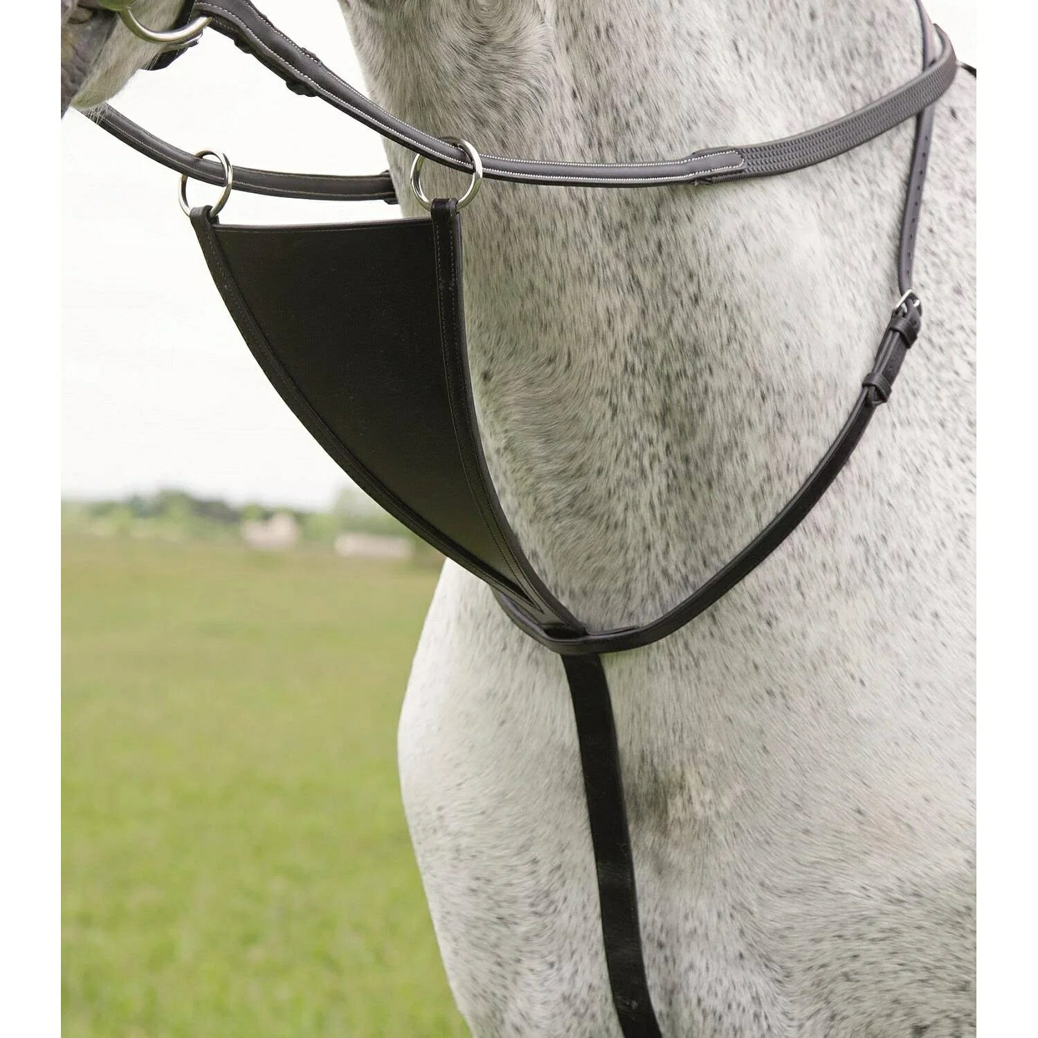 (ブレナム) Blenheim 馬用 レザー ビブ マルタンガール 乗馬 馬具 ホースライディング 【海外通販】
