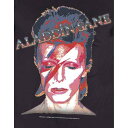 (デヴィッド・ボウイ) David Bowie オフィシャル商品 ユニセックス Aladdin Sane Tシャツ 半袖 トップス 【海外通販】