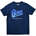 (fBbhE{EC) David Bowie ItBVi jZbNX On Tour 1974 TVc  gbvX yCOʔ́z