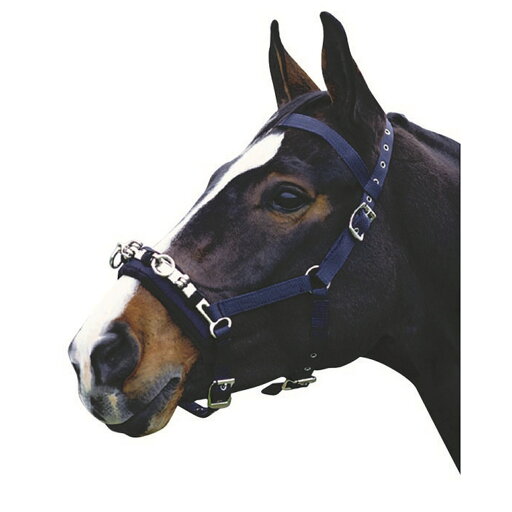 (キンケード) Kincade 馬用 Coordinate 調馬策カブソン 頭絡 調教 乗馬 ホースライディング 【海外通販】 (キンケード) Kincade 馬用 Coordinate 調馬策カブソン 頭絡 調教 乗馬 ホースライディング 【海外通販】
