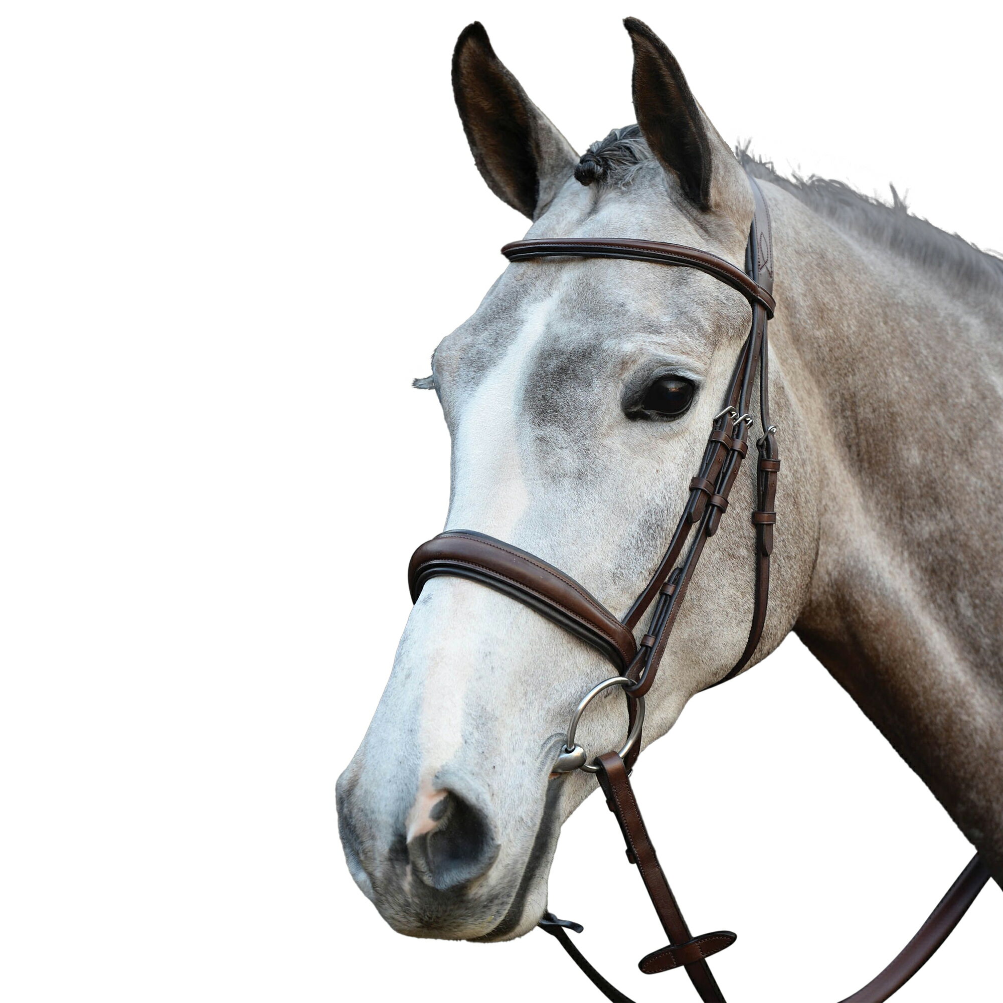 (カレッジエイト) Collegiate 馬用 モノ クラウン パッド入り ライズドレザー カブソン ブライドル 頭..