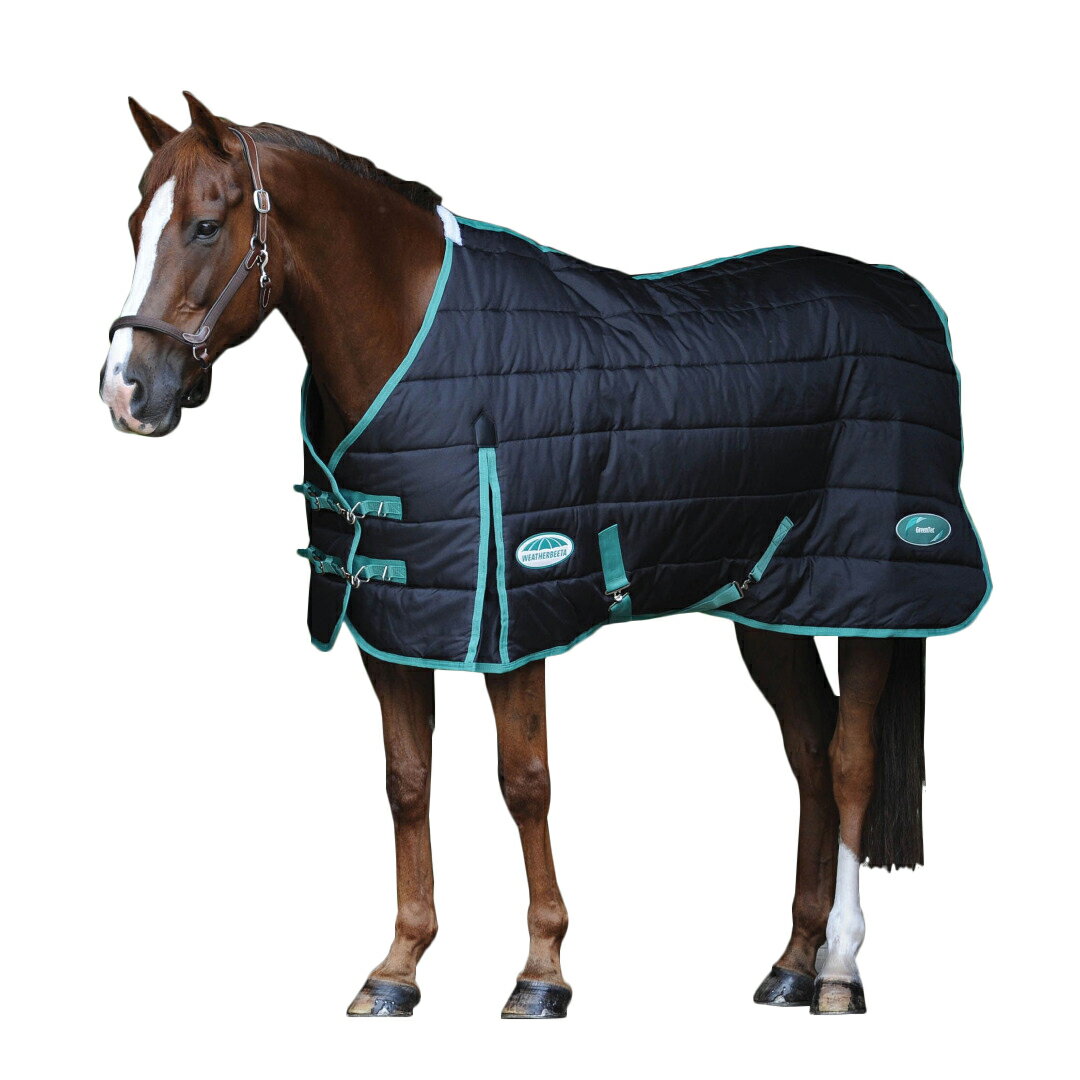 (ウェザビータ) Weatherbeeta 馬用 Green-Tec スタンダードネック ミディアム 軽量 ステーブルラグ 乗馬 馬装 ホースライディング 【海外通販】