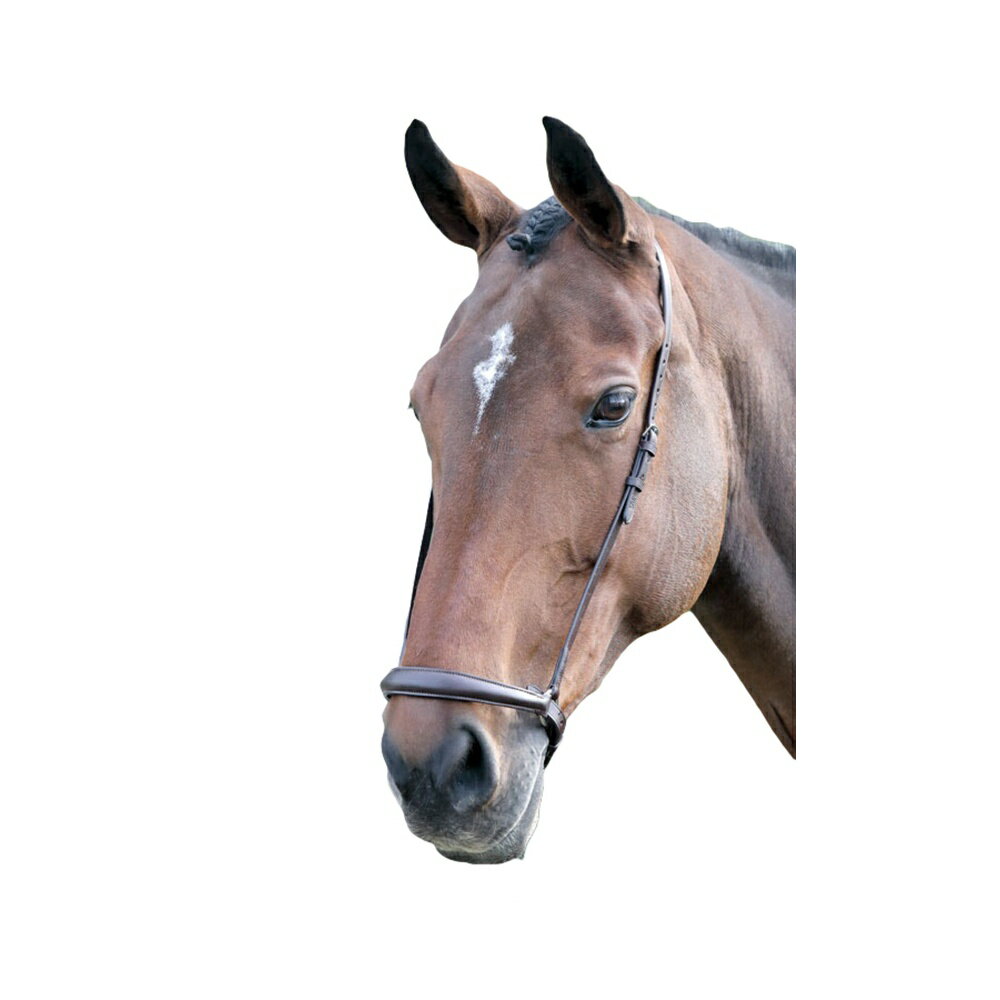 ブレナム Blenheim 馬用 レザー ドロップ ノーズバンド 乗馬 ドイツ鼻革 馬具 ホースライディング 【海外通販】