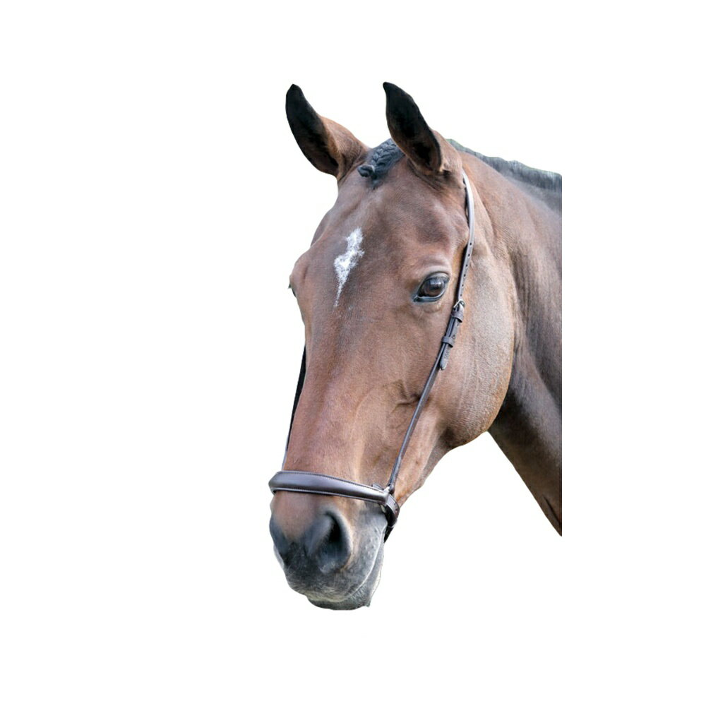 (ブレナム) Blenheim 馬用 レザー ドロップ ノーズバンド 乗馬 ドイツ鼻革 馬具 ホースライディング 【海外通販】