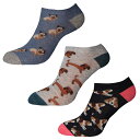 (シンプリー・エッセンシャルズ) Simply Essentials レディース ドッグ スニーカーソックス 靴下 セット (3足組) 【海外通販】