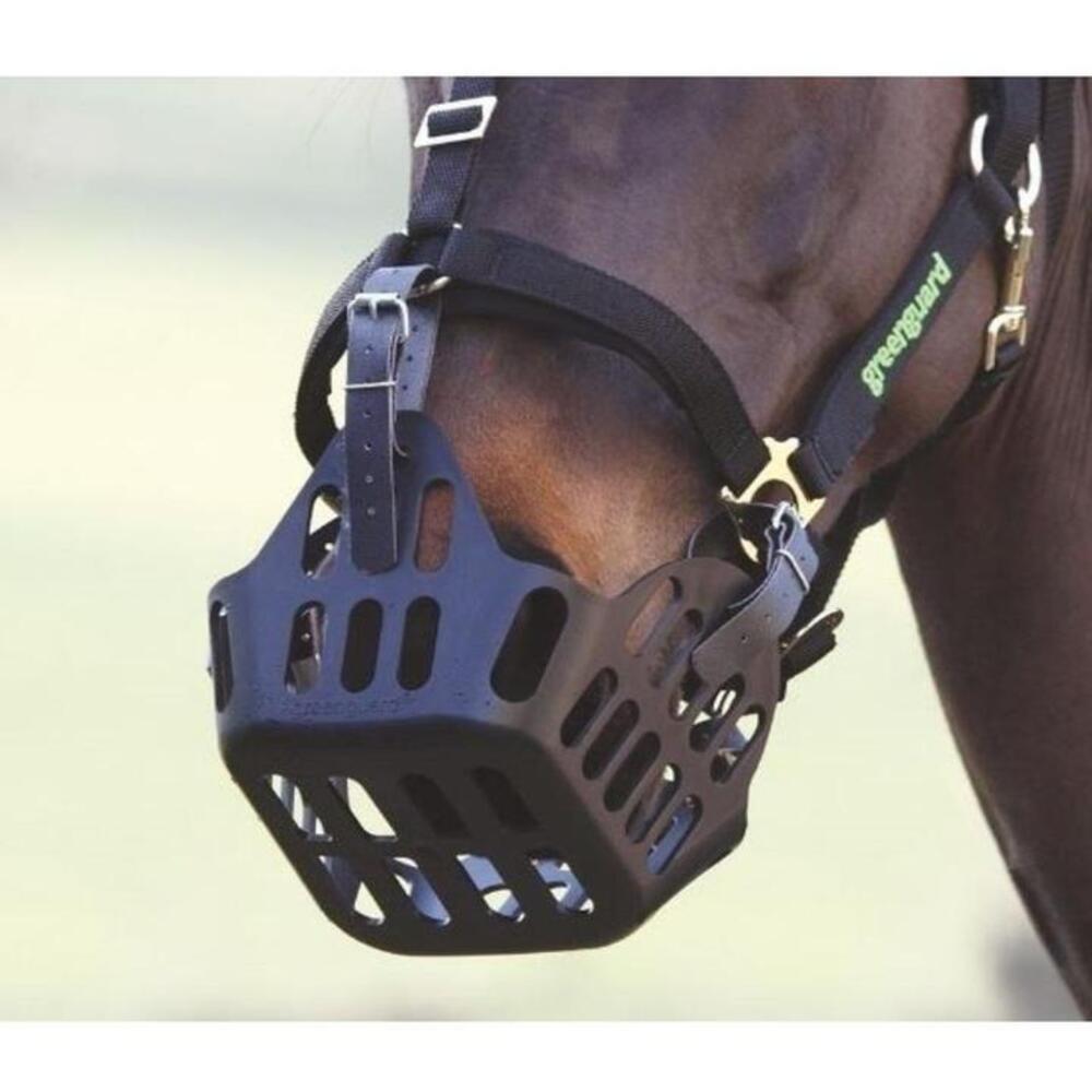 Pertemba Japanの(グリーンガード) GreenGuard 馬用 レザー グレージングマズル ストラップ 乗馬 馬具 パーツ ホースライディング 【海外通販】｜アングル2