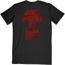 (ルイス キャパルディ) Lewis Capaldi オフィシャル商品 ユニセックス Divinely Uninspired To A Hellish Exten Tシャツ 半袖 トップス 【海外通販】