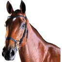(カレッジエイト) Collegiate 馬用 Comfitec レザー トレーニング ブライドル 頭絡 馬具 乗馬 ホースライディング 【海外通販】
