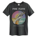 (アンプリファイド) Amplified オフィシャル商品 ユニセックス ピンク・フロイド Tシャツ Wish You Were Here 半袖 カットソー トップス 【海外通販】(4)