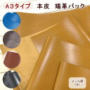 本革 ハギレ≪A3タイプ 本皮 端革パック≫革小物作り バッグ作りに【本皮】