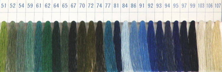 20�ּ�ܥ���Ĥ���(�ե��å����ϥ����ѥ��