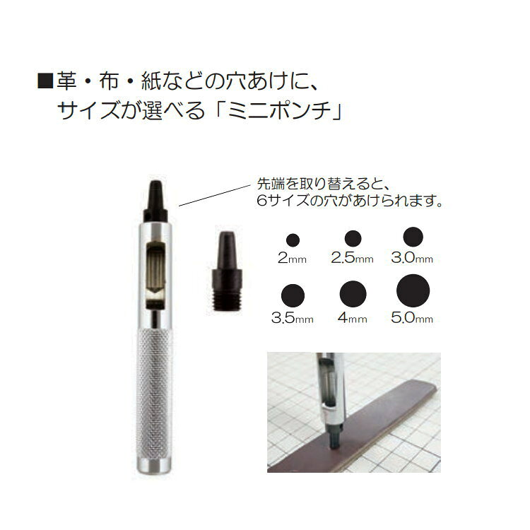 ミニポンチ（差替え式） サンコッコー