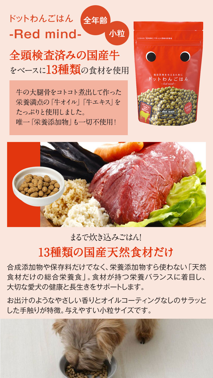 ドットわん ドッグフード Red mind 500g×3袋＋国産鹿肉ジャーキー(お試しサイズ) 国内原料 無添加 天然素材【通常2-5ヶ月の賞味期限で出荷】 pet-alpha-10037962 ペットアルファー楽天市場店 サンプル画像3