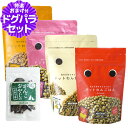 ドットわんごはん 4種 各1袋+国産鹿肉ジャーキー(お試しサイズ)