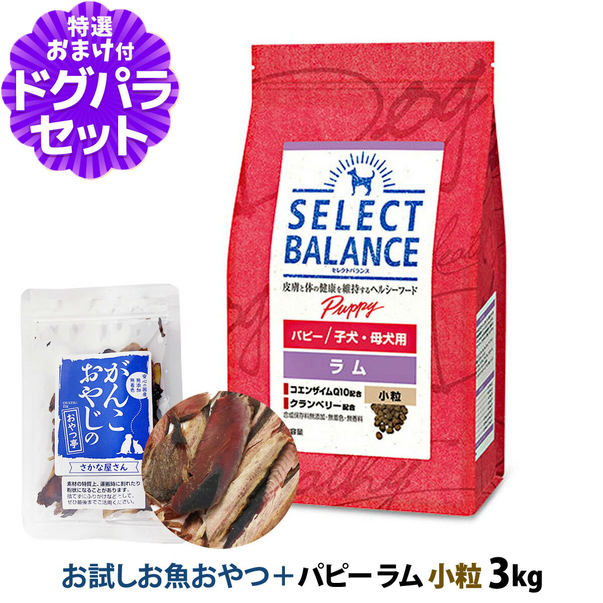 セレクトバランス」の人気商品一覧 | 安い商品を通販サイトから探す