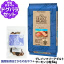 (2025年6月2日価格改定)セレクトバランス ドッグフード グレインフリー アダルト サーモン 小粒 6kg +お試し国産お魚おやつ 約20g ドッグ 穀物不使用