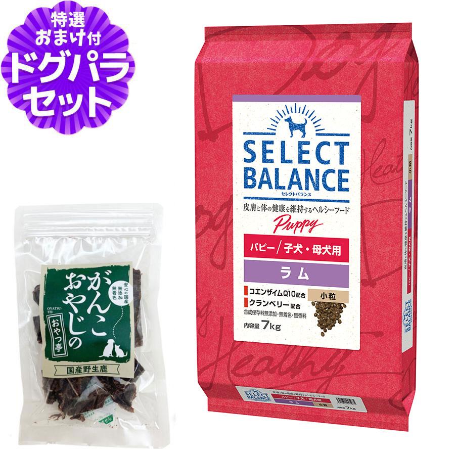 セレクトバランス パピー ラム 小粒 7kg＋国産鹿肉ジャーキー20g