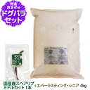 アーガイルディッシュ ドッグフード エバーラスティング・シニア 4kg+国産鹿のスペアリブ ミドルカット 1本入り オーガニック認定 シニア ドッグフード ドラ...