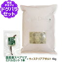アーガイルディッシュ ドッグフード ウィステリアアダルト 4kg+国産鹿のスペアリブ ミドルカット 1本入り オーガニック認定 成犬 ドッグフード ドライ