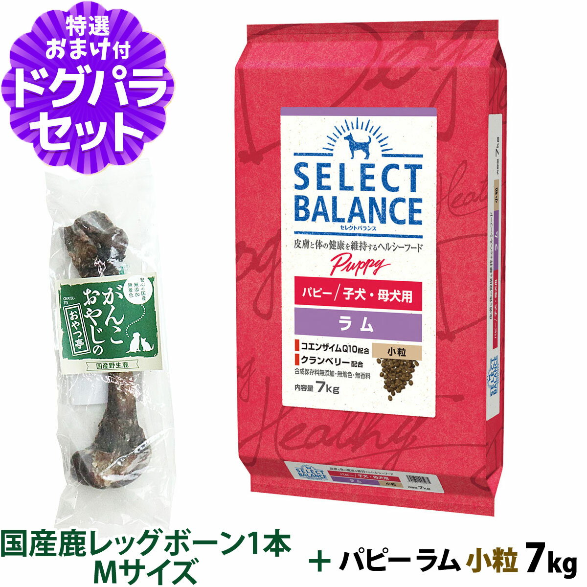Domestic - セレクトバランス パピー ラム 小粒 7kg+国産鹿レッグボーン 1本Mサイズ 犬 子犬 母犬