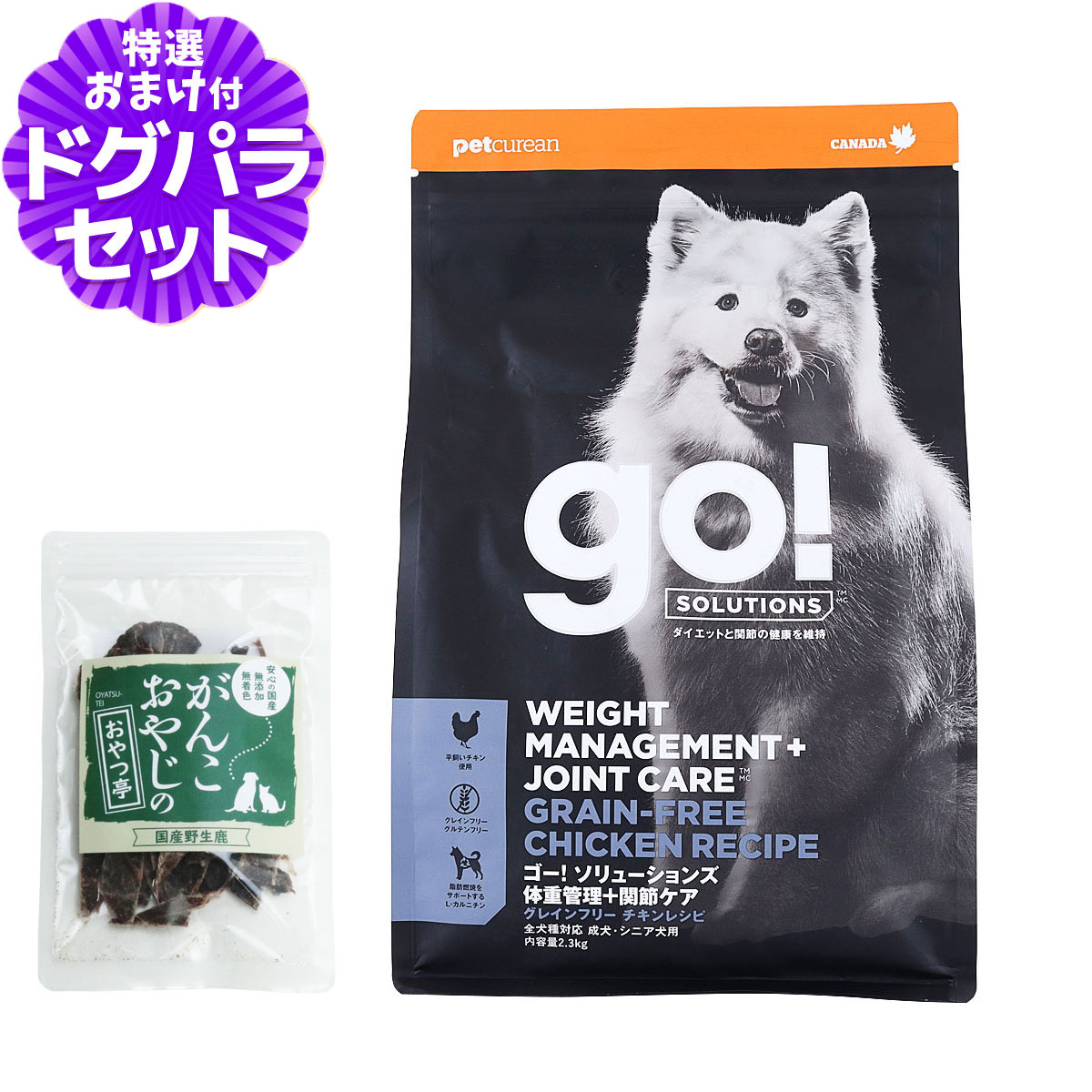 GO! å+ᥱ  2.3kgܹ񻺼㡼()  ɥå ա ɥå 쥤ե꡼ ʪԻ νŴ    륳ߥ ɥ ʪ    ˥