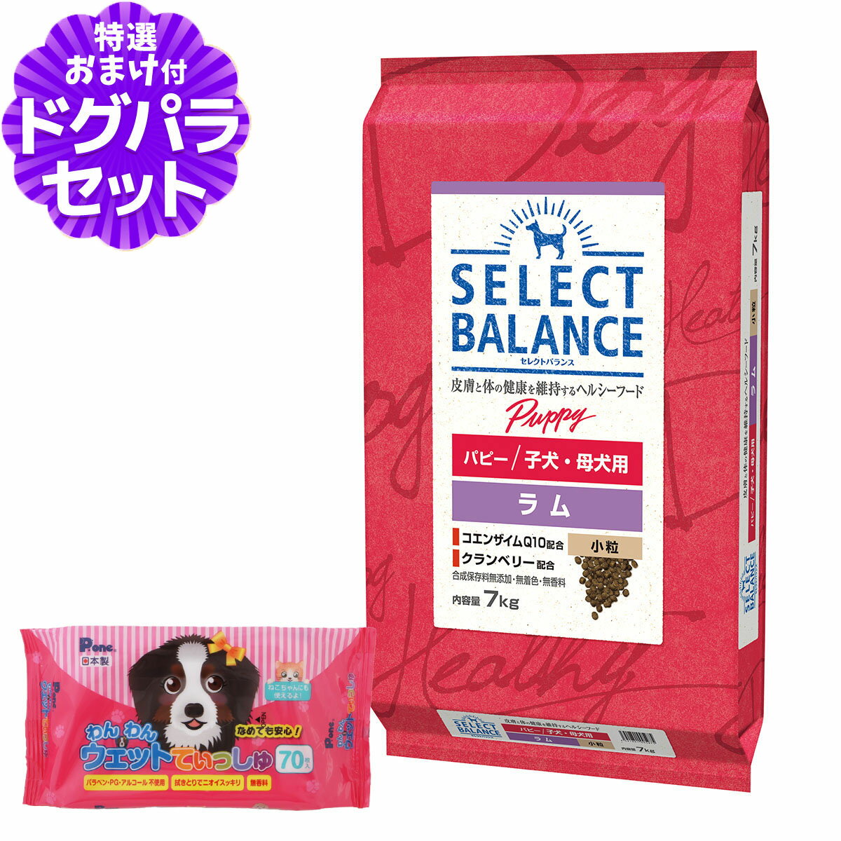 ���쥯�ȥХ�� �ѥԡ� ��� ��γ 7kg+����󥦥��åȤƤ��ä��� 1��