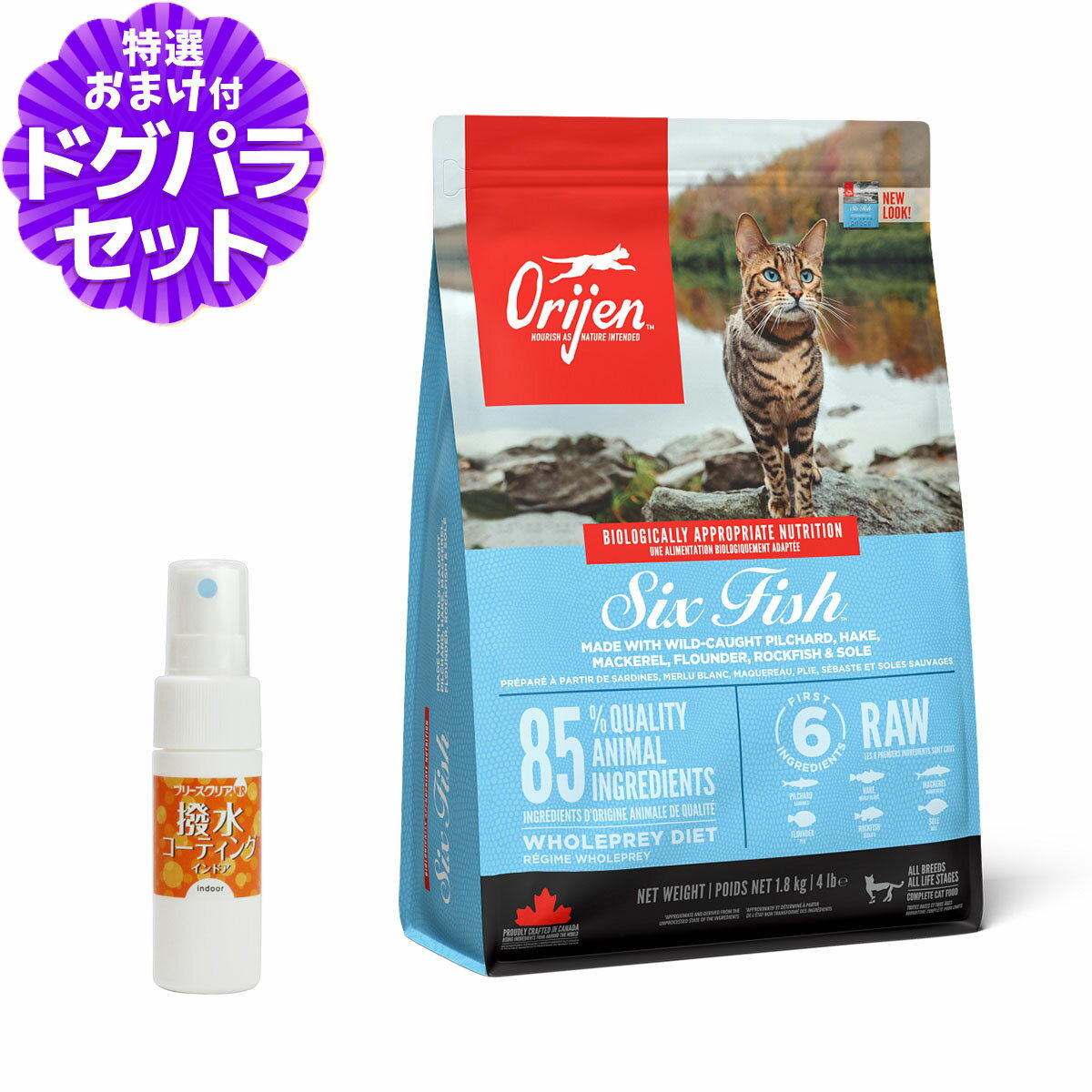 楽天市場】オリジン キャット シックスフィッシュの通販