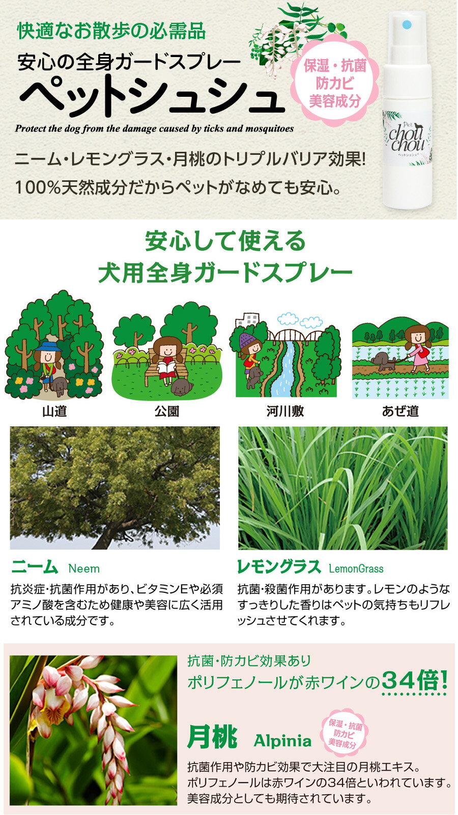 【順次パッケージ変更】ナチュラルハーベスト フ...の紹介画像2