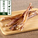 犬 おやつ 無添加 国産 がんこおやじのおやつ亭 国産野生鹿背筋のガム 40g ジビエ 低カロリー 無添加 しか シカ 犬 おやつ ペット ドッグ 犬用おやつ ペットフード